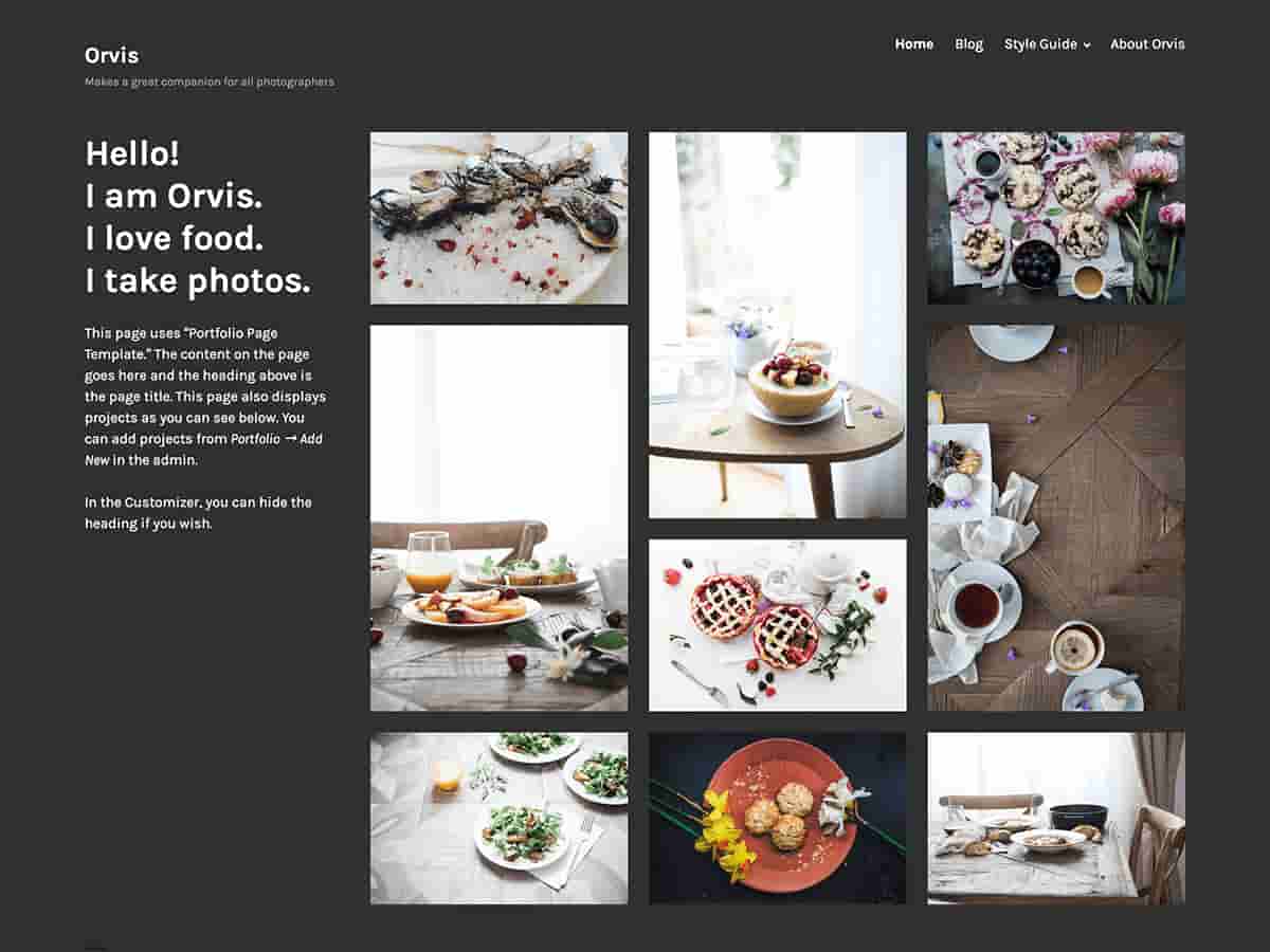 You are currently viewing Best Orvis WordPress Theme in 2021