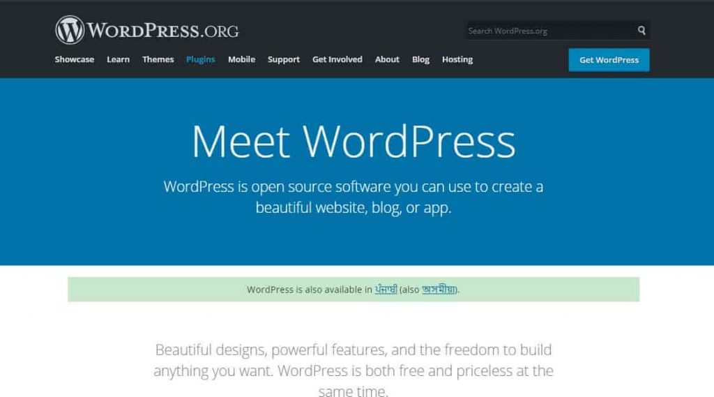 How to Download WordPress Theme From Cpanel